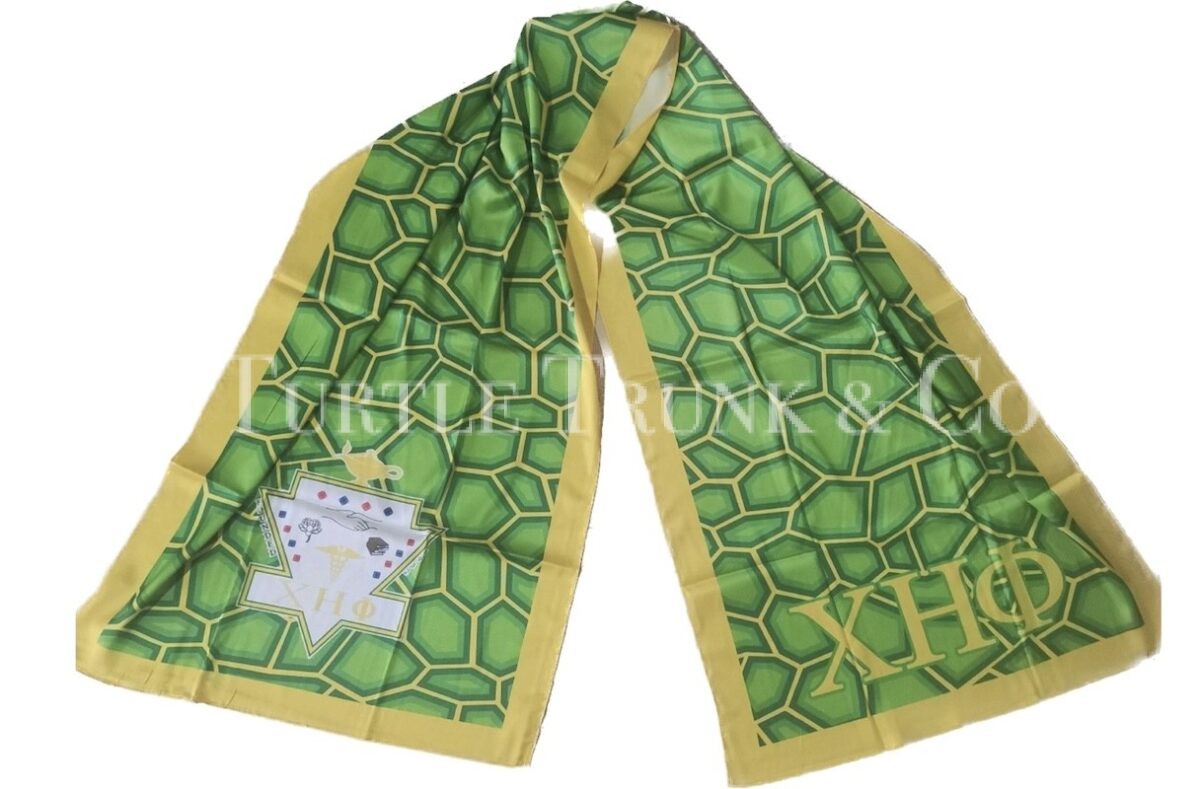 Chi Eta Phi Oblong Chiffon scarf